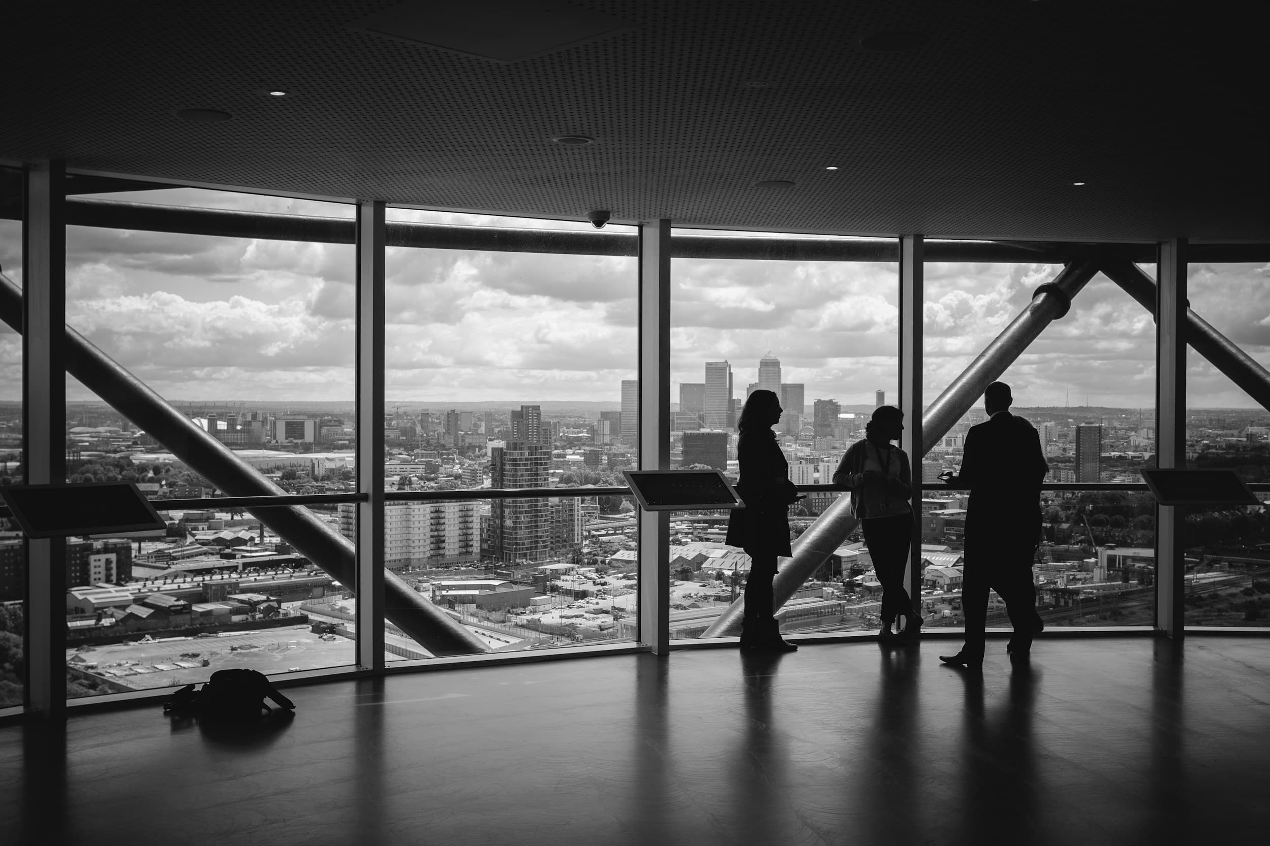Executive leadership and advisory context